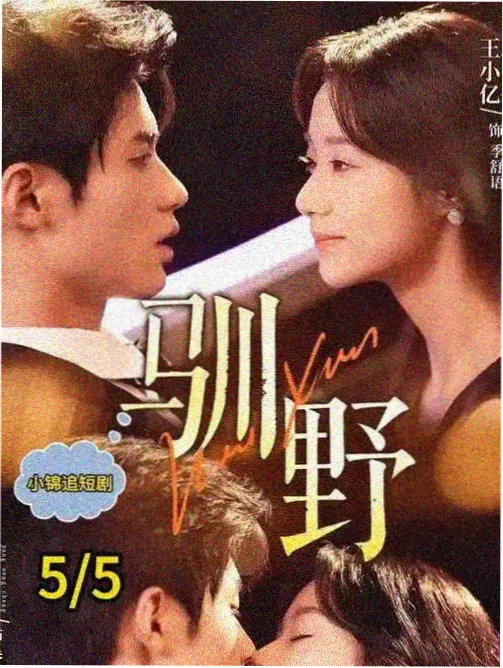 雾港第七码头剧集海报：夜色中的集装箱码头